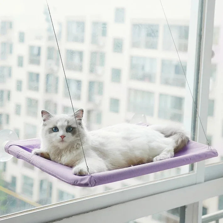 Winter Cat Window Hanging Hammock Bed Suction Cup Space Saving All Seasons Easy Install Pet Bed Cat Climbing Frame