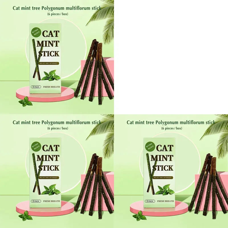 6pcs Natural Matatabi Cat Stick Mint Caught Bite Excited Rods Silvervine For Cat Teeth Cleaning Treating Pet Supply Cat Toys